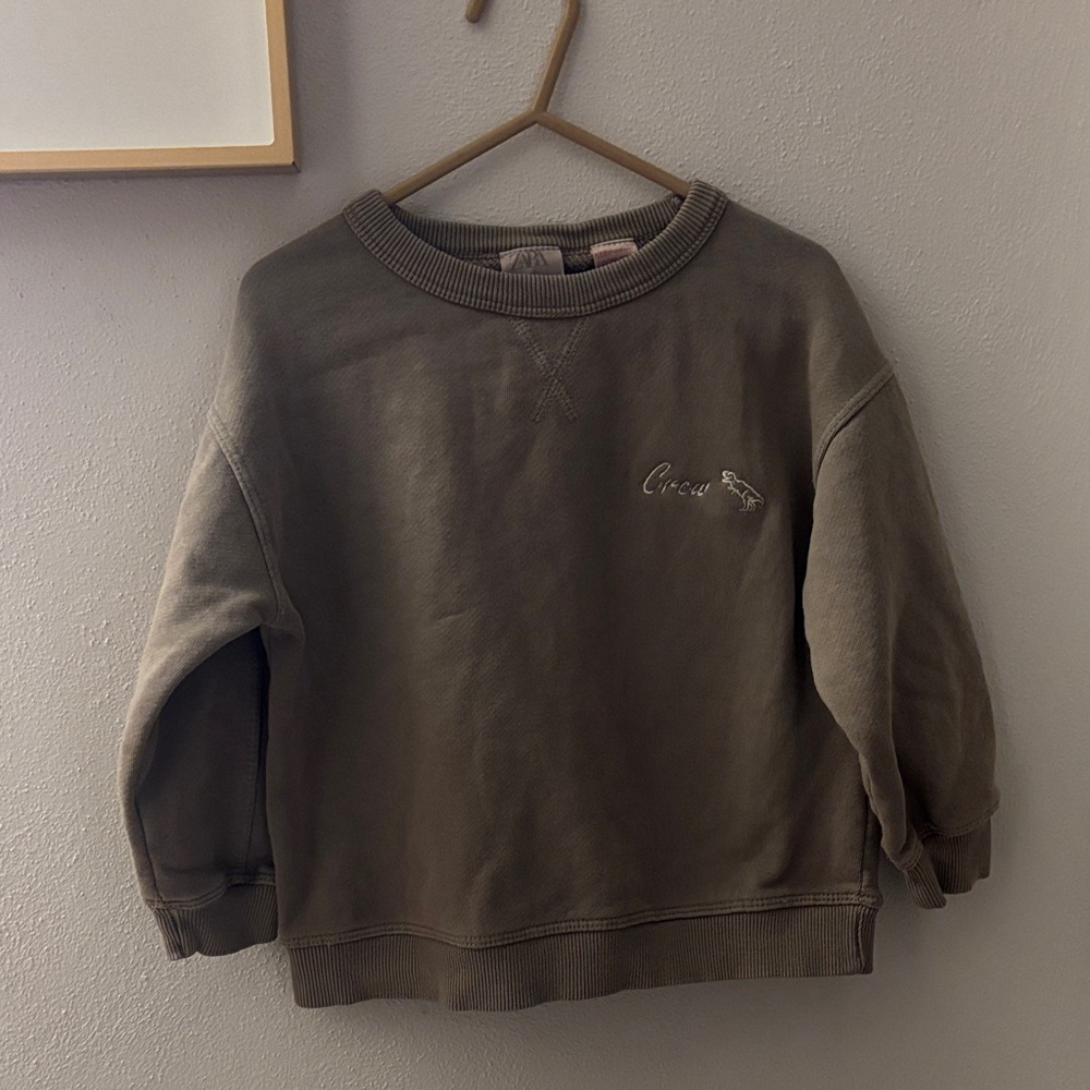Zara NWT embroidered crewneck sweatshirt - size 3 boys “Crew” with dinosaur